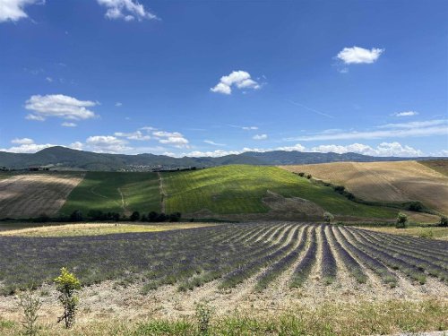 Ferme à Scandicci