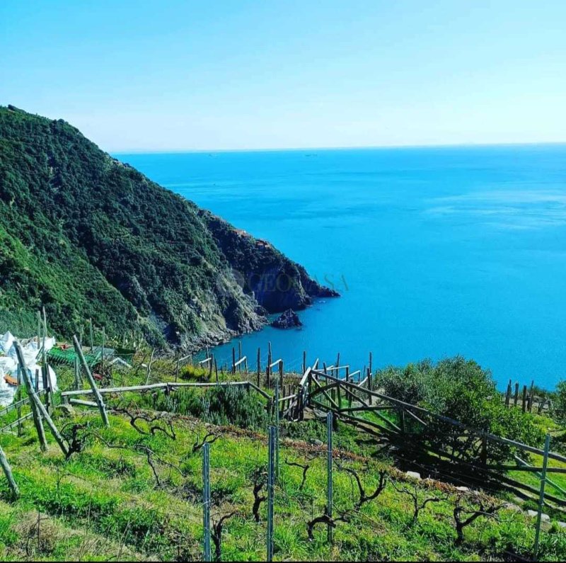 Appartement à Riomaggiore