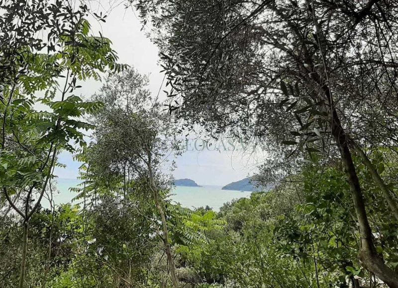 Apartamento en Lerici