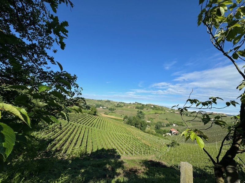 Casa de campo em Canelli