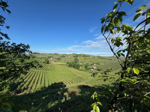 Casa di campagna a Canelli