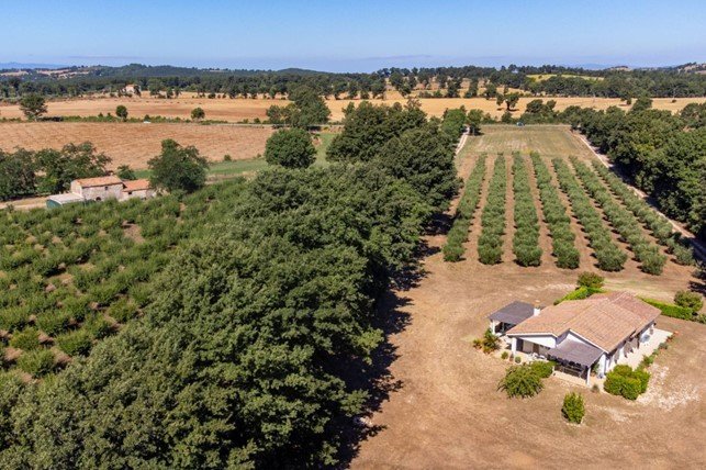 Exploitation agricole à Manciano