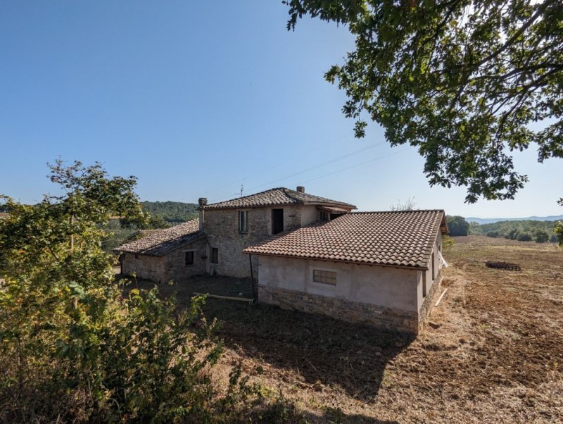 Lantställe i Panicale