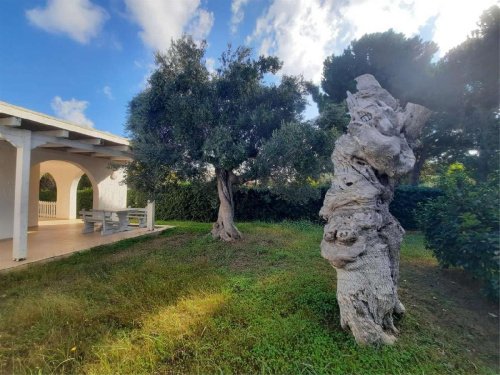 Villa in Ostuni