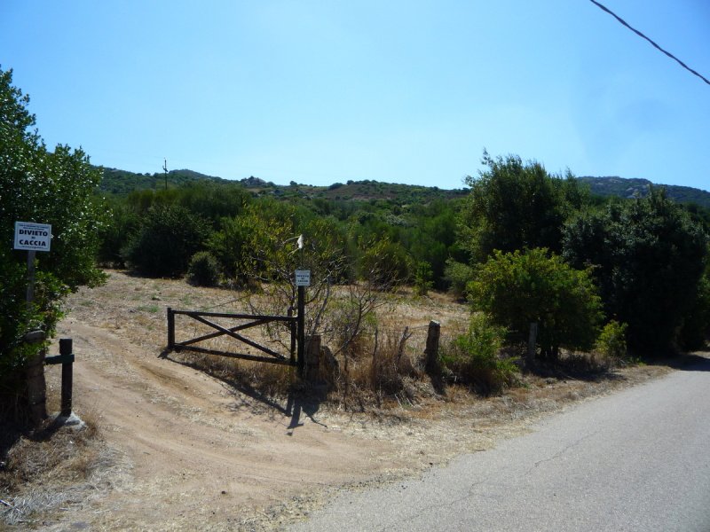 Terreno agrícola en Aglientu