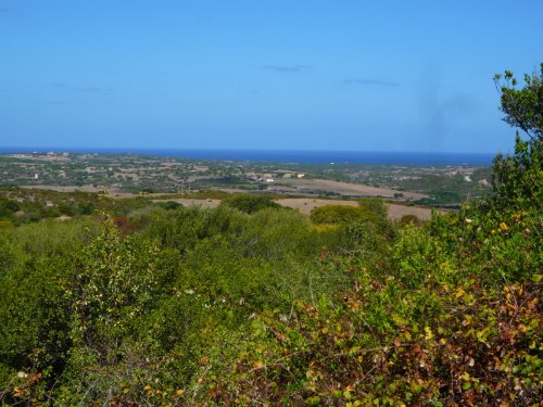 Landbouwgrond in Aglientu