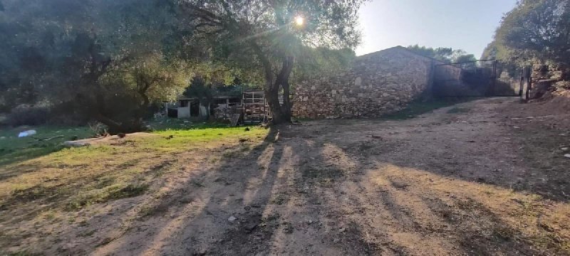 Building plot in Olbia