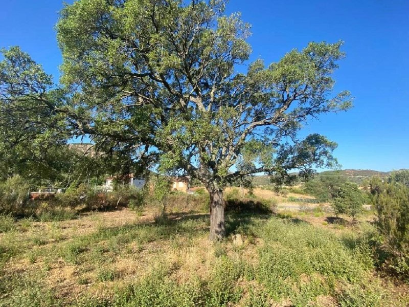 Building plot in Loiri Porto San Paolo