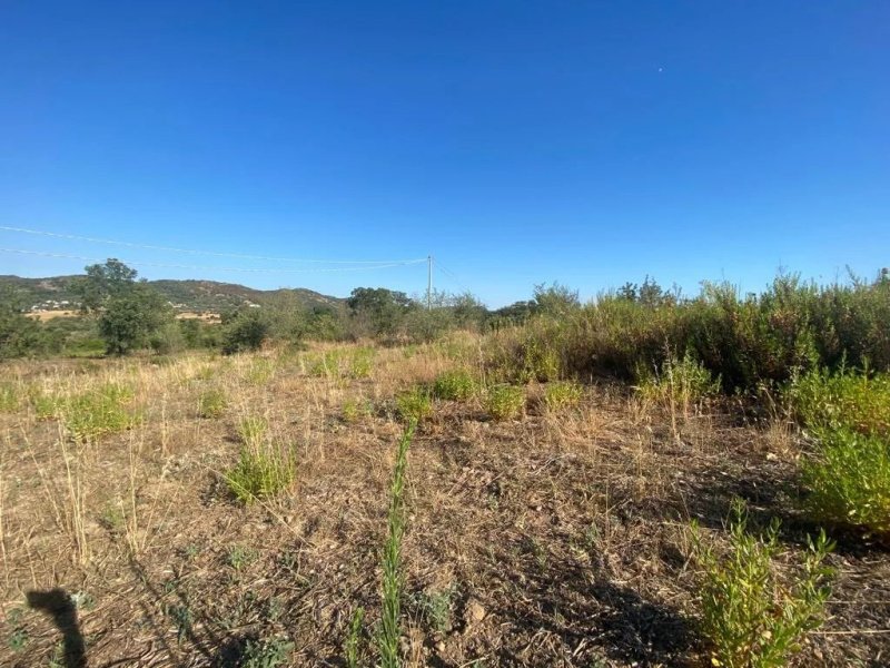 Building plot in Loiri Porto San Paolo