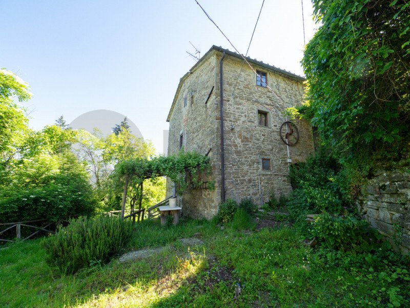 Maison à Pelago