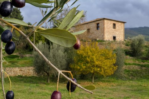 Country house in Pelago