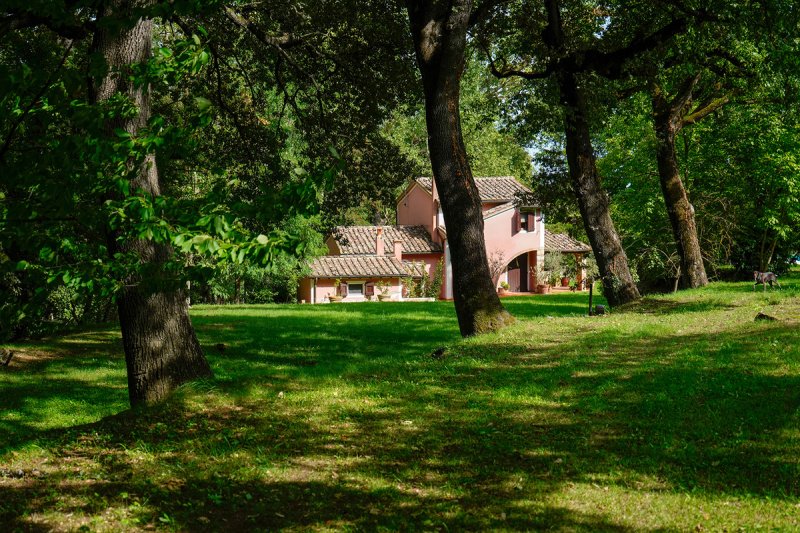 Farmhouse in Cetona