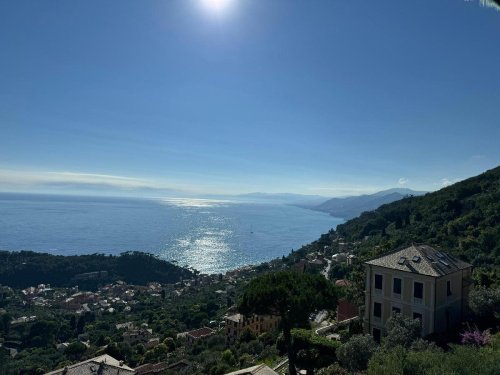 Apartment in Camogli