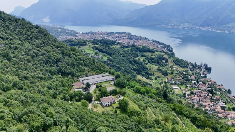 Einfamilienhaus in Mandello del Lario