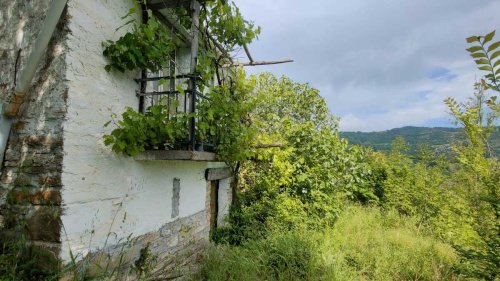 Terreno agricolo a Prunetto