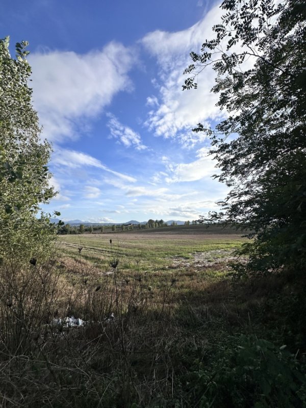 Bouwgrond in San Giorgio del Sannio