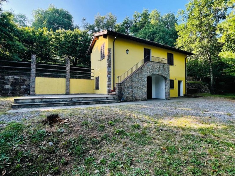 Lantställe i Camaiore