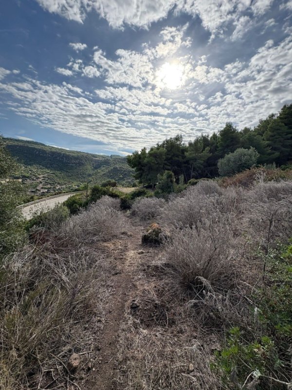 卡斯特尔萨多农舍