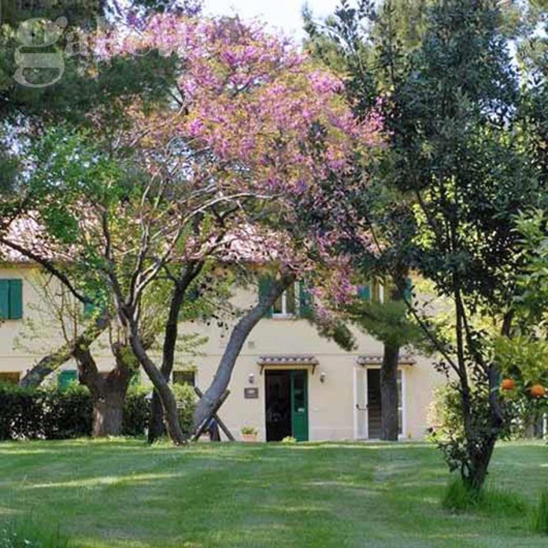 Farmhouse in Senigallia