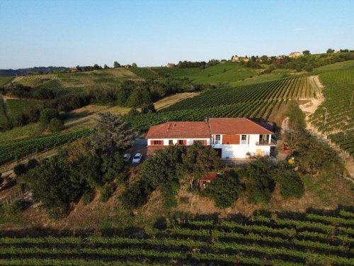 Landwirtschaftlicher Betrieb in Nizza Monferrato