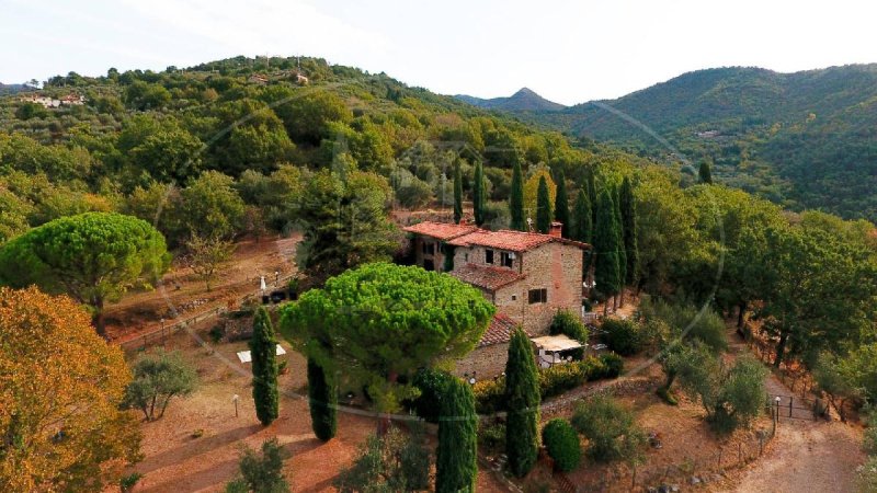 Farmhouse in Reggello