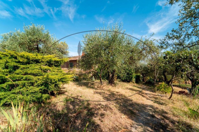 House in Cavriglia