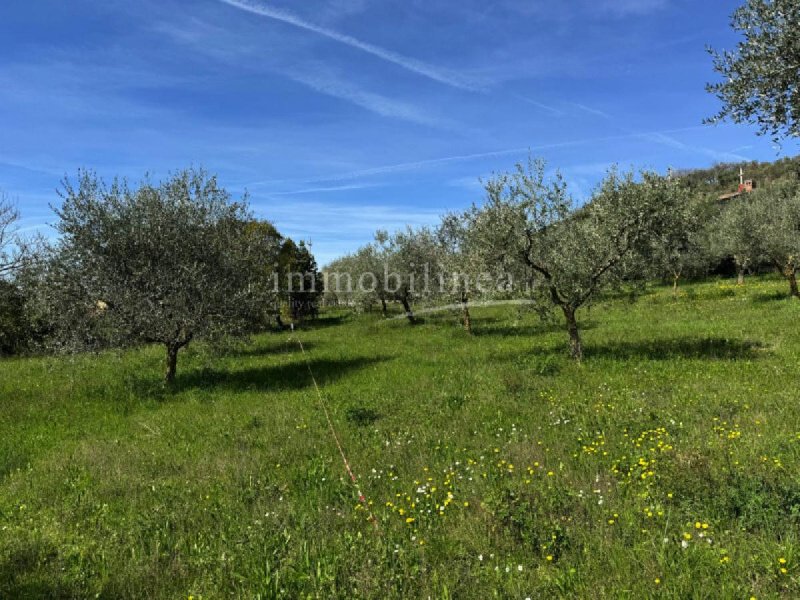 Bauland in Caprino Veronese