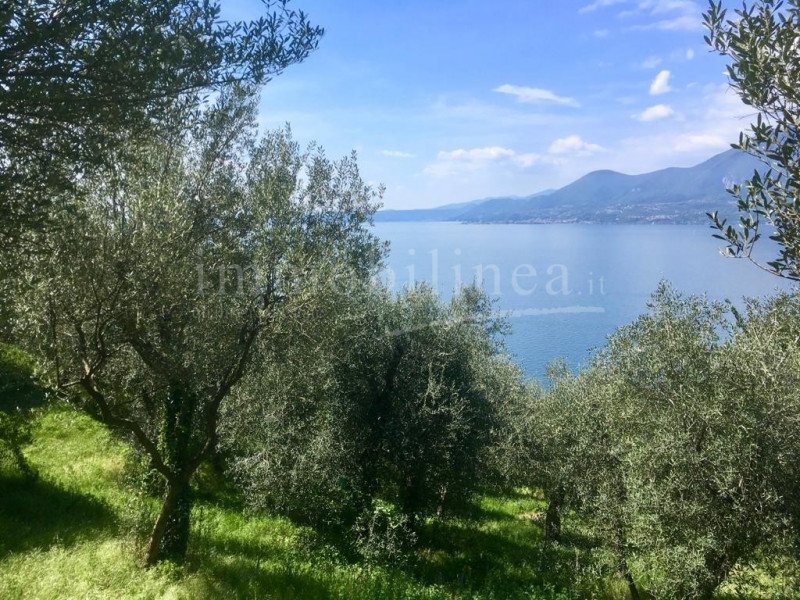 Agricultural land in Torri del Benaco