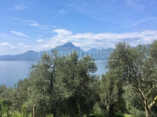 Terreno agricolo a Torri del Benaco