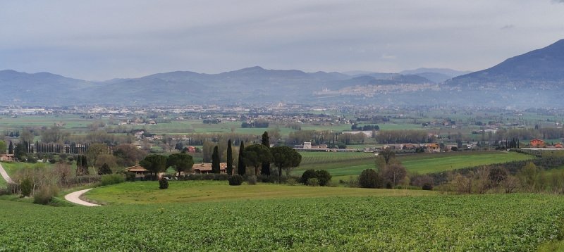 Quinta agrícola em Bettona