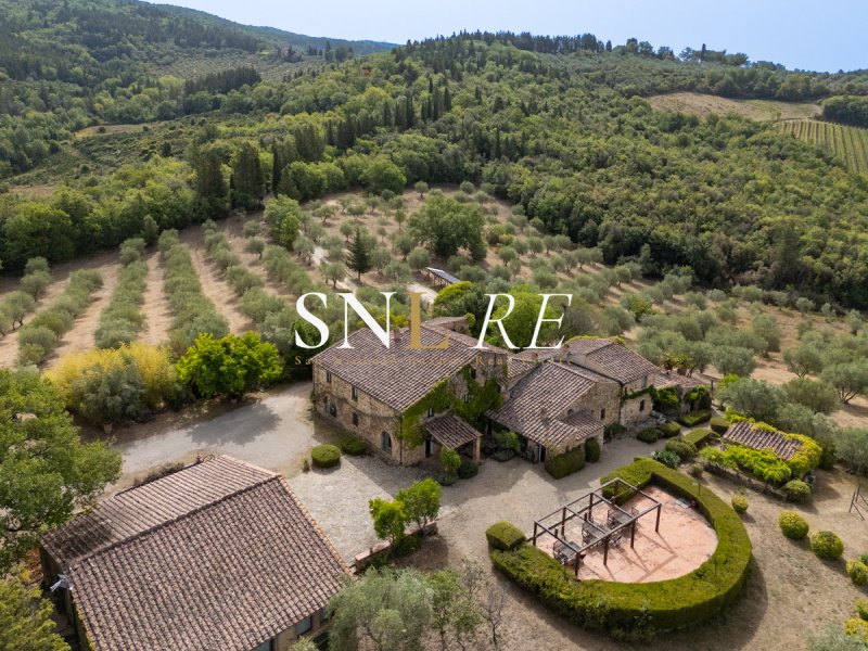 Woonboerderij in Castellina in Chianti