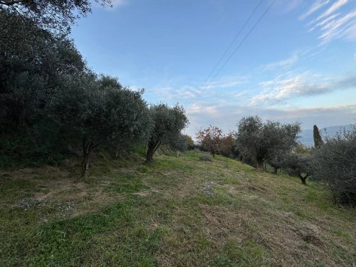 Building plot in Verona