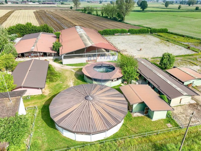 Farm in Stagno Lombardo