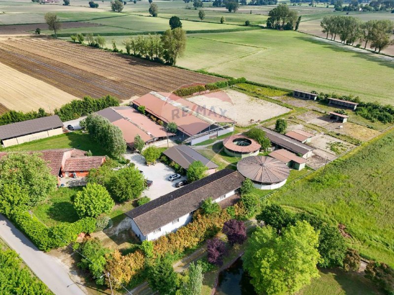Farm in Stagno Lombardo