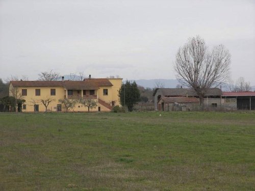 Boerenbedrijf in Torrita di Siena