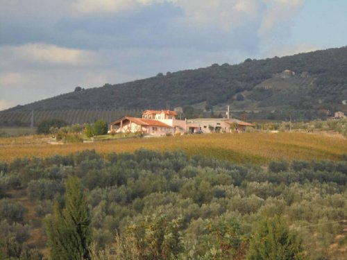 Explotación agrícola en Montecchio