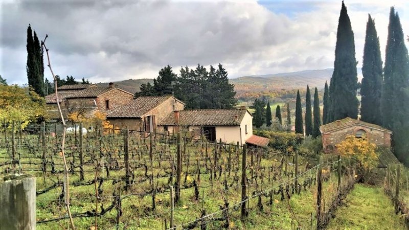 Ferme à Bucine