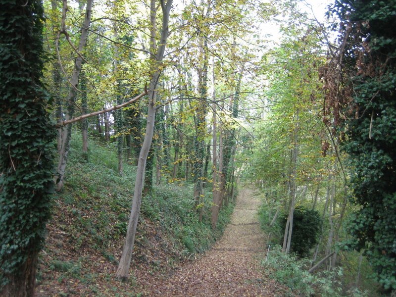 Boerenbedrijf in Civitella di Romagna