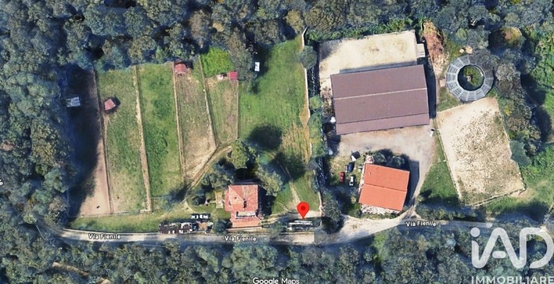 Ферма в Мусколине