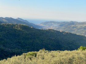 House in Dolceacqua