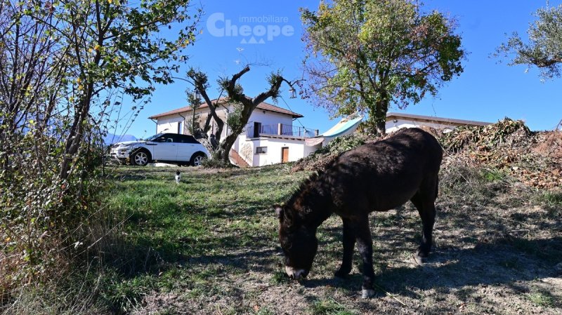 Agroturismo en Montefino