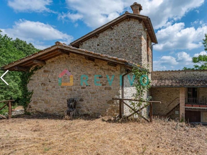 Appartamento a Castel San Niccolò