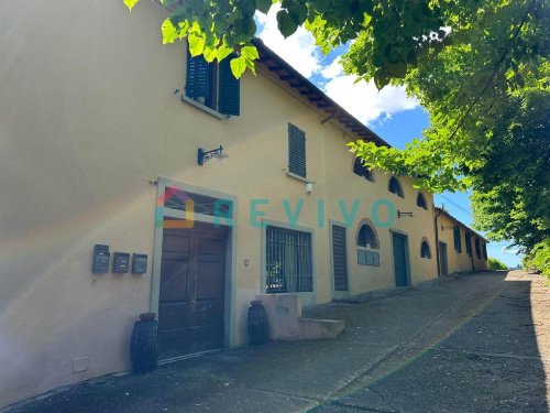 阿尔诺河畔里尼亚诺农业公司