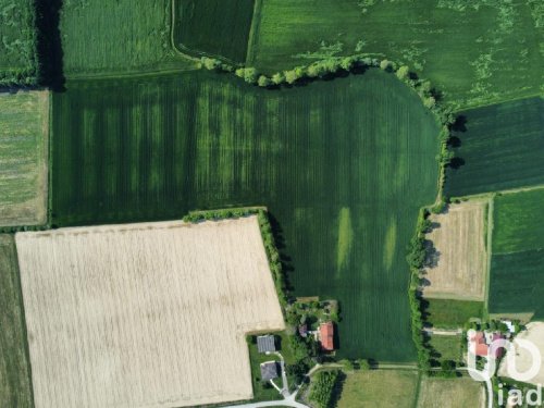 Terrain à bâtir à Grisignano di Zocco