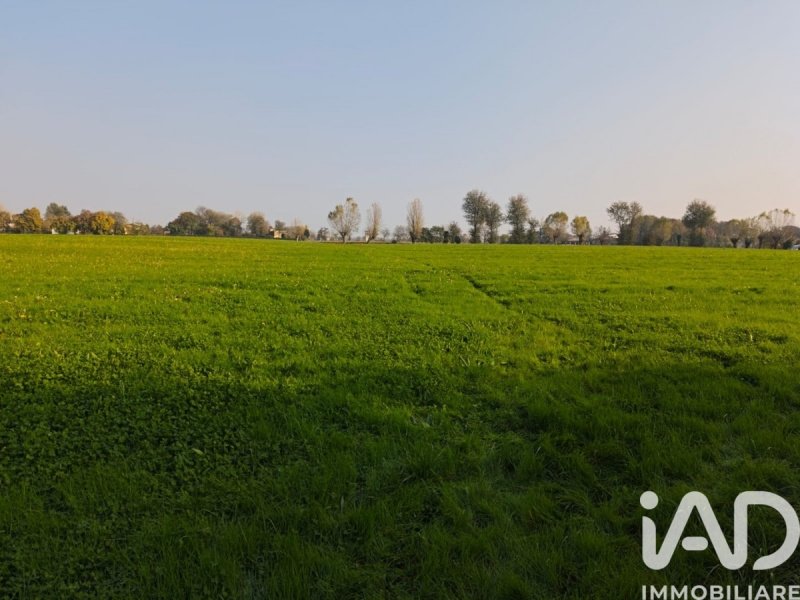 Terreno agrícola en Marostica