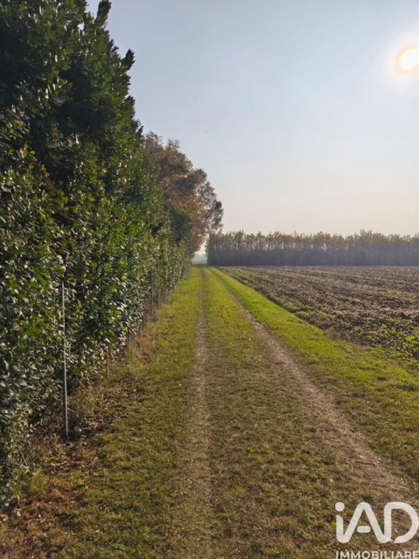 Terreno agrícola en Marostica