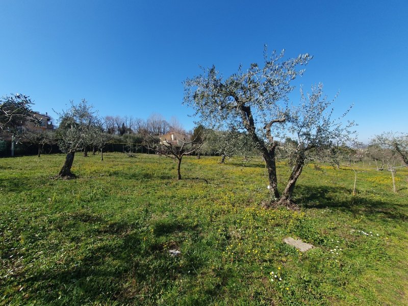 Terreno edificable en Rocca di Papa