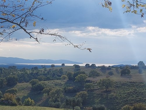 Bauland in Magliano in Toscana