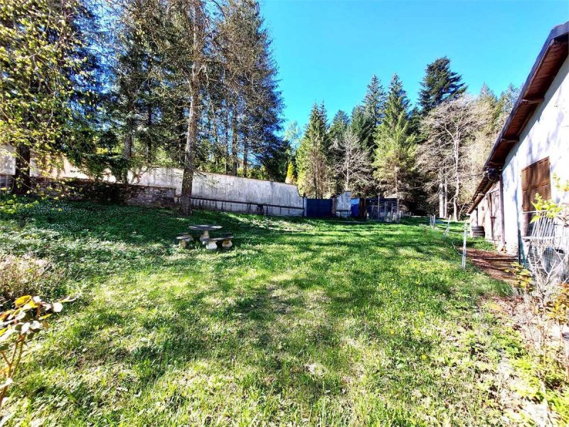 Appartement in Pornassio