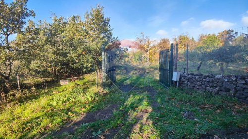 Landwirtschaftliche Fläche in Belpasso